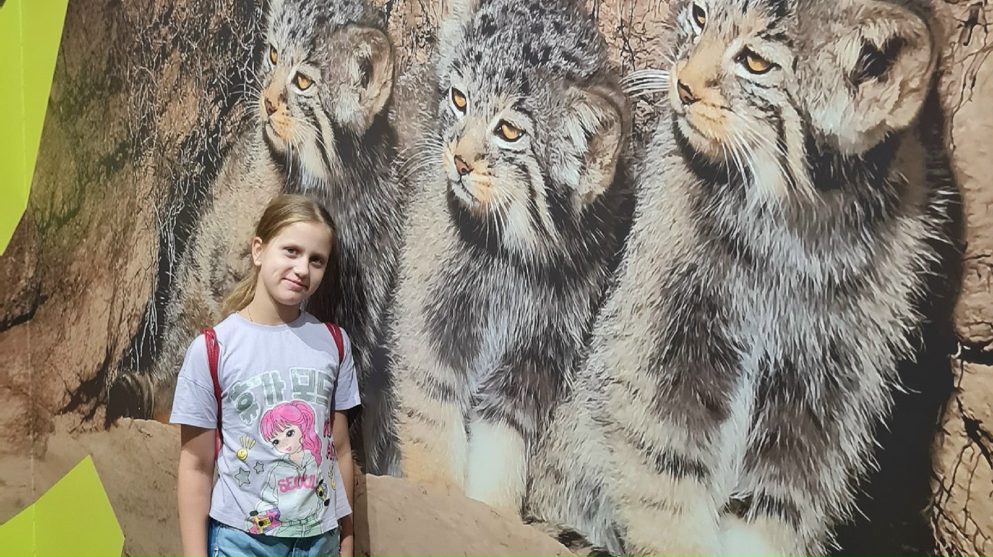 Фото из поста