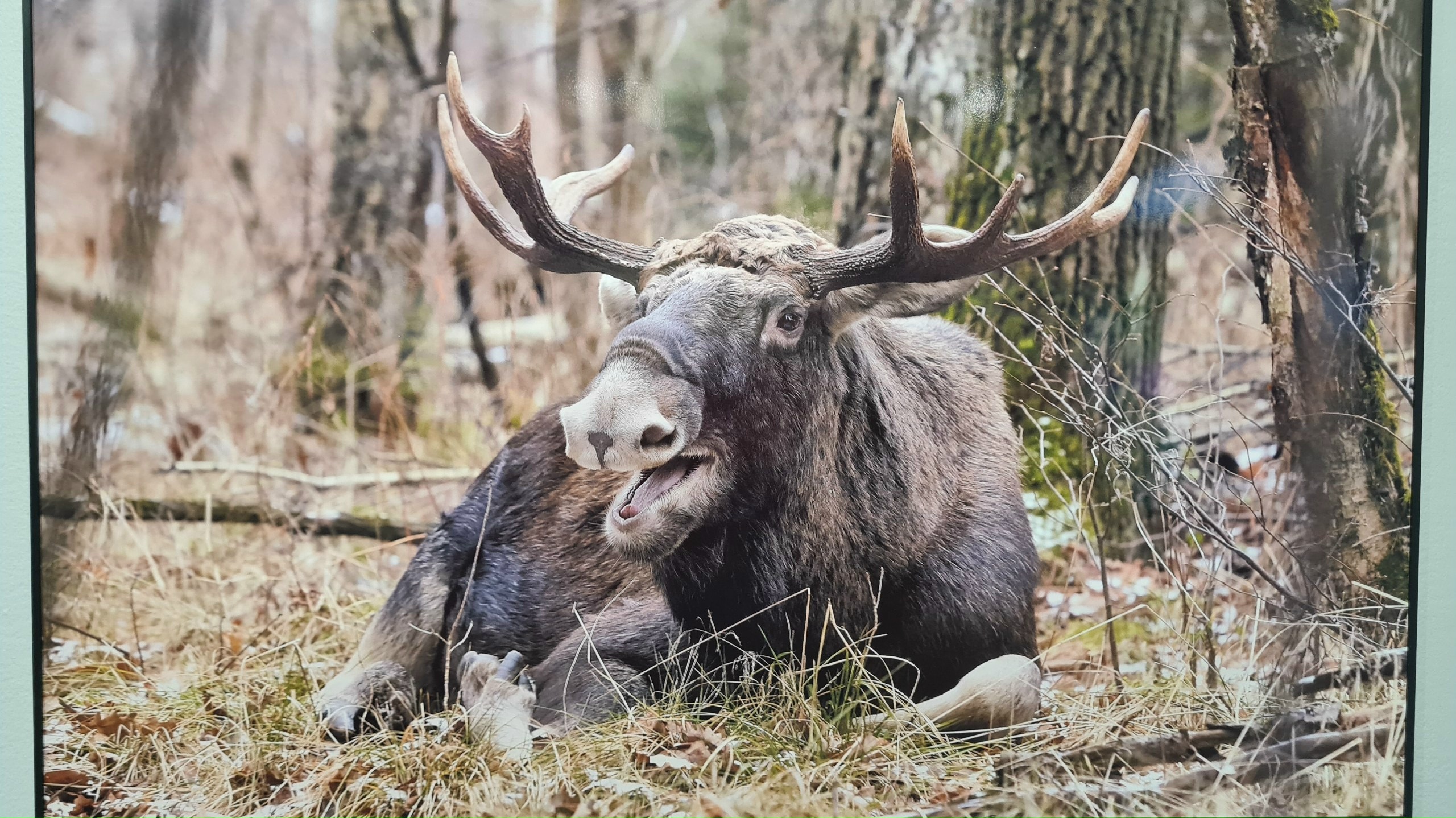 Фото из поста