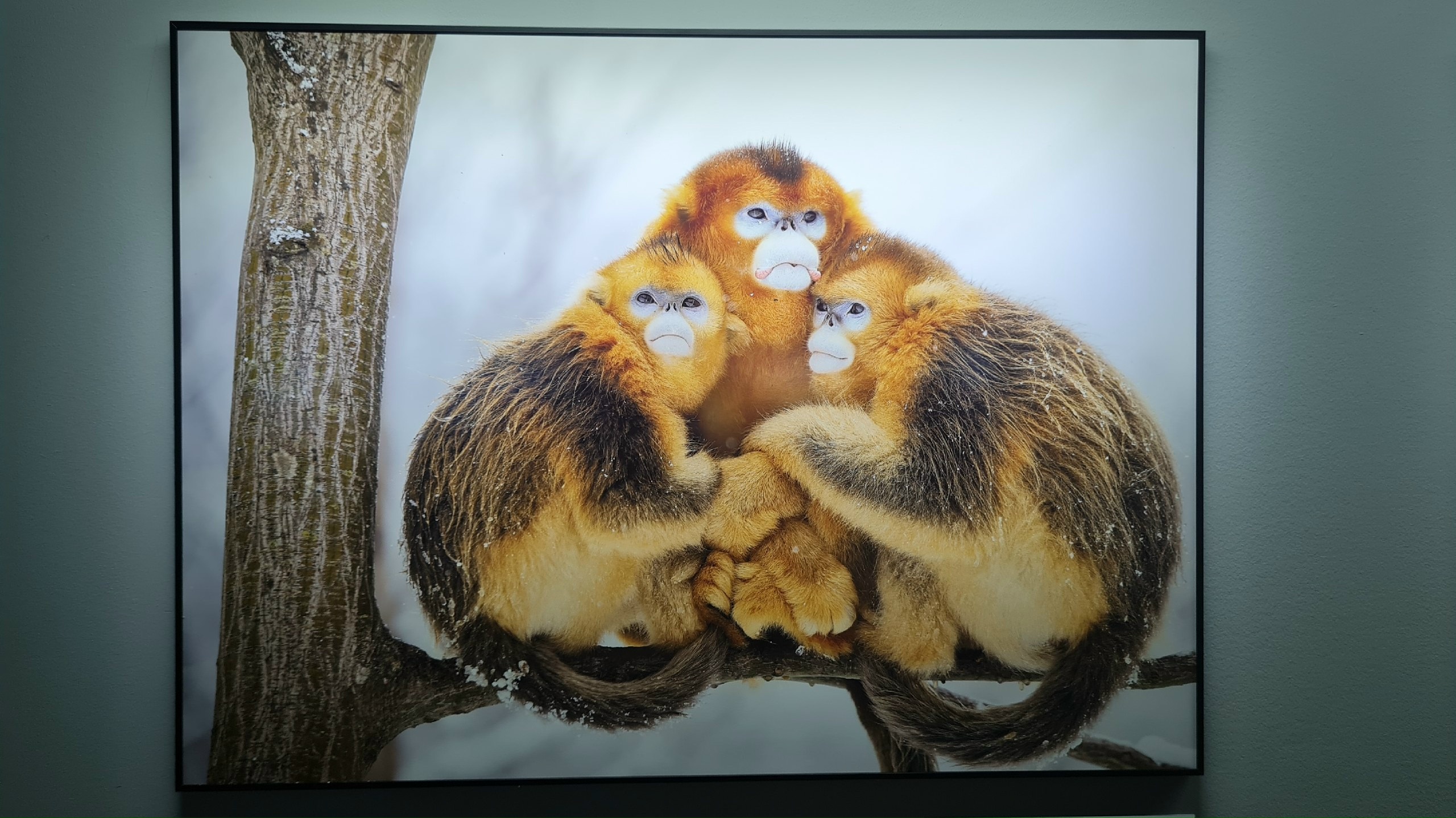 Фото из поста