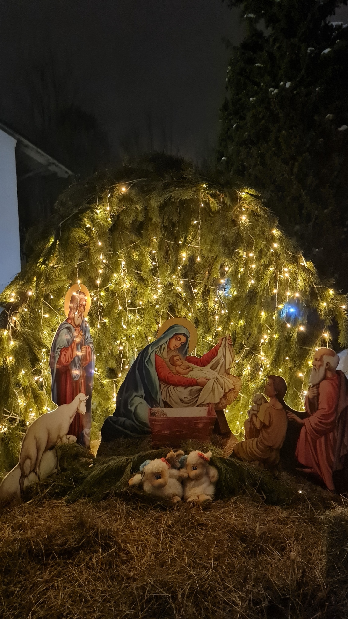 Фото из поста