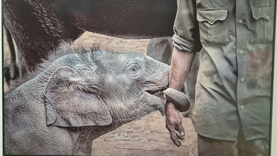 Фото 26 Октябрь 2024