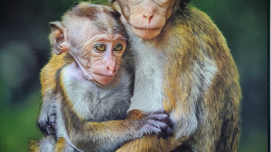 Фото 26 Октябрь 2024