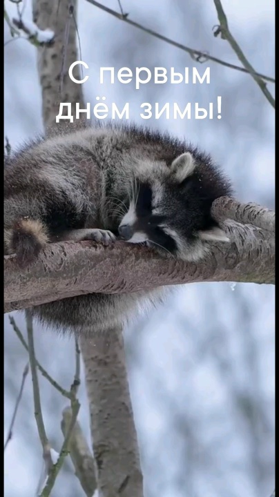 Миниатюра видео