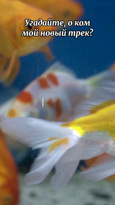 Миниатюра видео