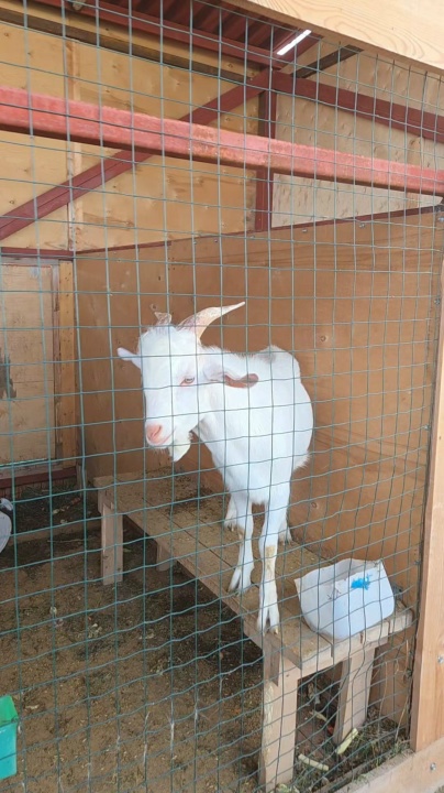 Миниатюра видео