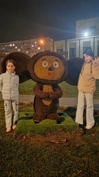 Миниатюра видео