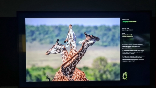 Фото из поста