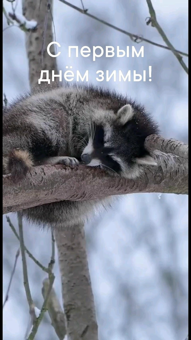 Миниатюра видео