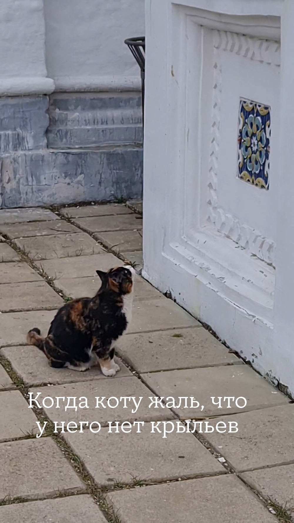 Миниатюра видео