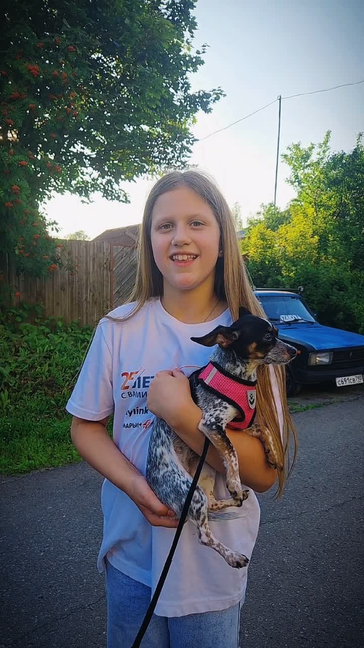 Миниатюра видео