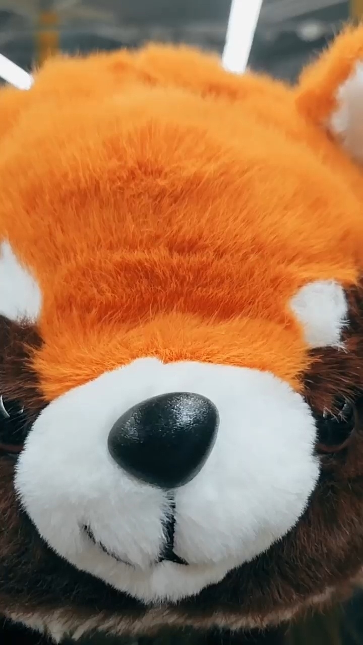 Миниатюра видео