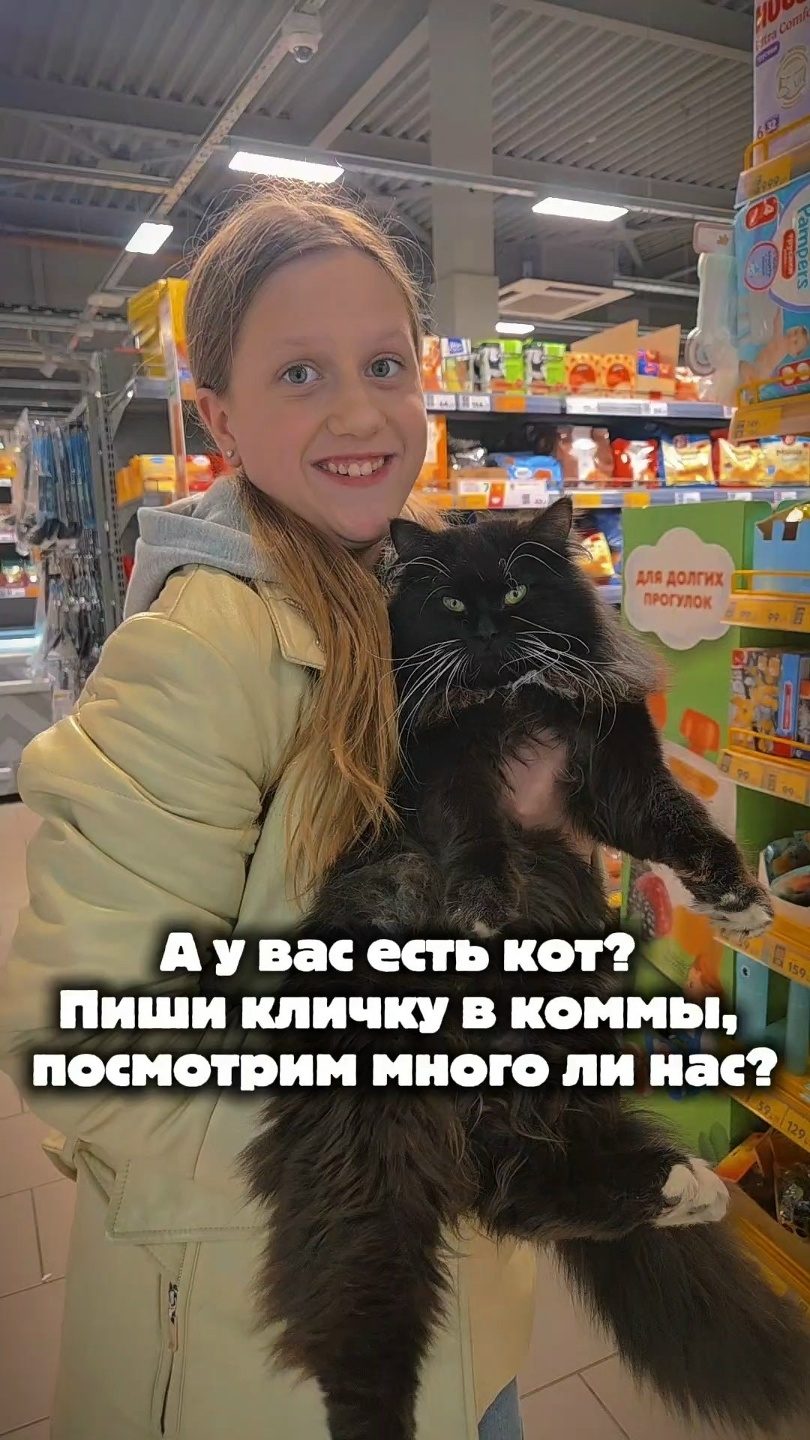 Миниатюра видео